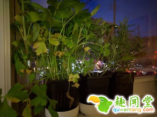 你造吗，华为造出了最好的 Android 手机？！