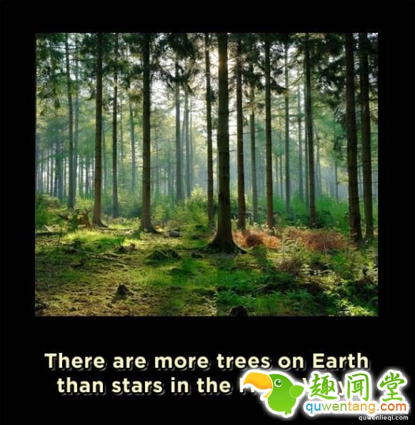 15个让你瞬间觉得自己是外星人的「吓死人地球冷知识」。#11英文也有象形文字!