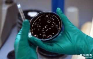 温室效应竟然让远古超级细菌醒了过来，我