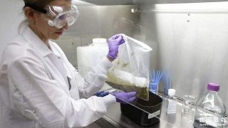 大便也能捐？一份还可以获得40美元