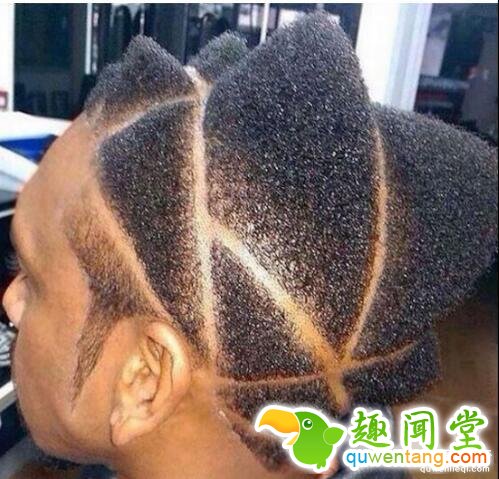 盘点世界上最怪异的发型，你要不要来一个？