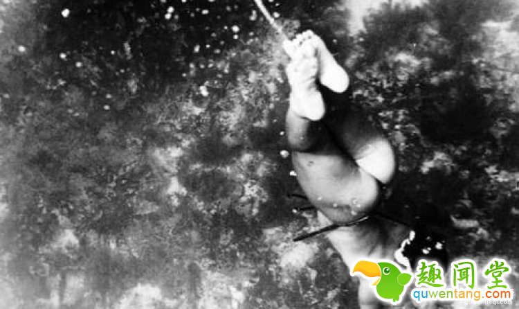 现实版美人鱼平均年龄70岁，你吃的美味都出自她们之手