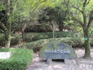 传说中＂日本最危险的滑梯＂重新开放，你