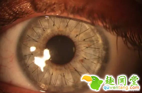 这些图片，看过2张以上算你牛逼！