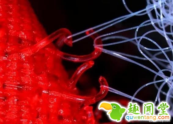 这些图片，看过2张以上算你牛逼！