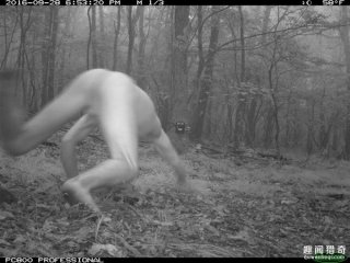 惊呆！美国森林拍到全裸野人趴地爬，真相