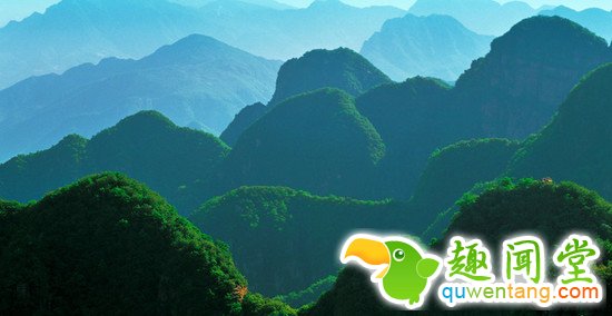 信or不信？6个奇怪的方法帮助你改善大脑功能