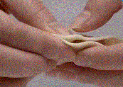 饺子这样包好看又好吃，一步到位，太简单了！