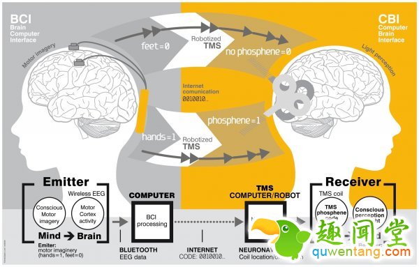 科学家证明心灵感应可以实现