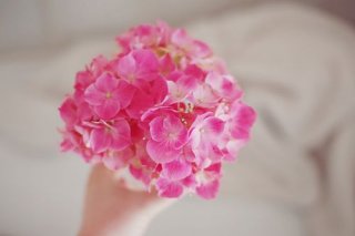 相似的人适合玩闹，互补的人才能终老！