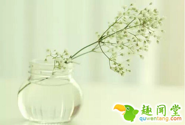 放在一个天平上，你得到的越多，也必须比别人承受更多 - 每天十句话,经典语录,人生感悟,情感语录,心灵鸡汤