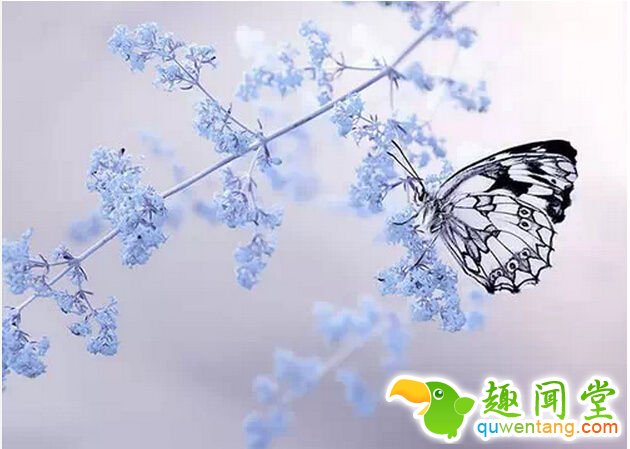 你永远不知道自己有多坚强，直到有一天你除了坚强再无选择 - 每天十句话,经典语录,人生感悟,情感语录,心灵鸡汤