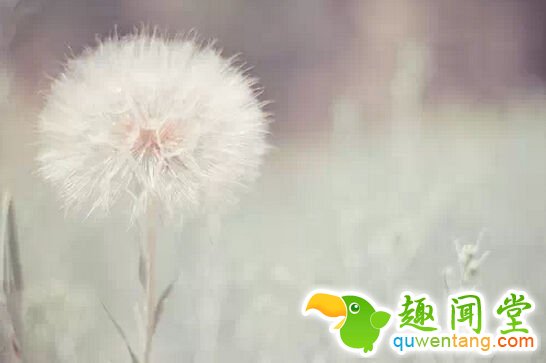 生命中有很多事情足以把你打倒，但真正打倒你的是自己的心态 - 每天十句话,经典语录,人生感悟,情感语录,心灵鸡汤