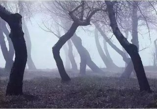 看完这个，再也不生气了！