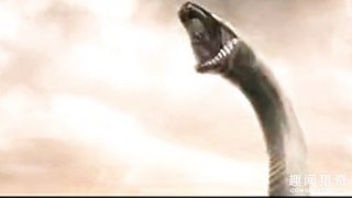 雷峰塔为什么会倒塌？里面真的埋有白蛇黄