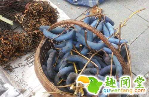 像尸体颜色一般的香蕉 你敢吃吗？