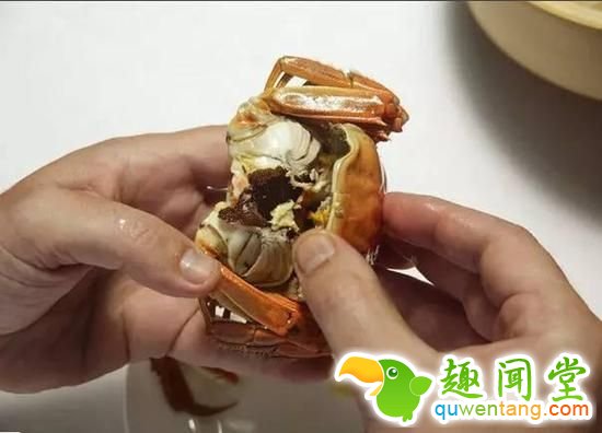 如何优雅地吃掉一只螃蟹？