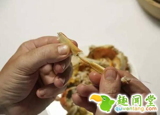 如何优雅地吃掉一只螃蟹？