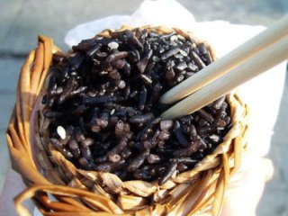 去旅游就这么吃吧！各地小吃大全！