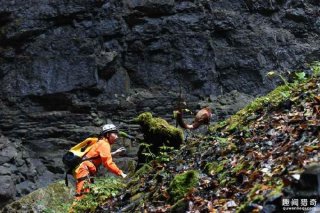 会飞？陕西天坑现罕见“天使猫”