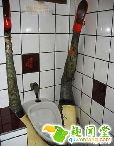 世上最奇葩的十大厕所，看完第二个就崩溃了！