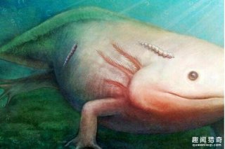 科学家发现1.65亿年前的“淡水吸血鬼”