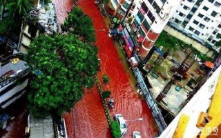 重要节日让孟加拉首都“血流成河”！简直