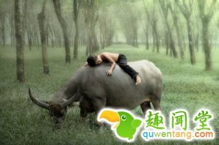 9个幸福肆意流淌的童话般的生活