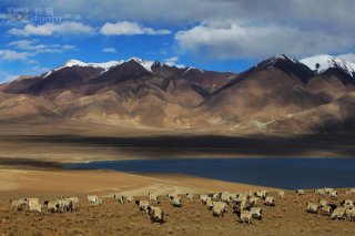 盘点国内最不坑爹的旅游景点！