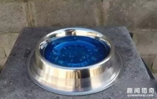 男子将铜水倒入沐浴露里