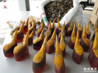 印尼海关找到大批“实心