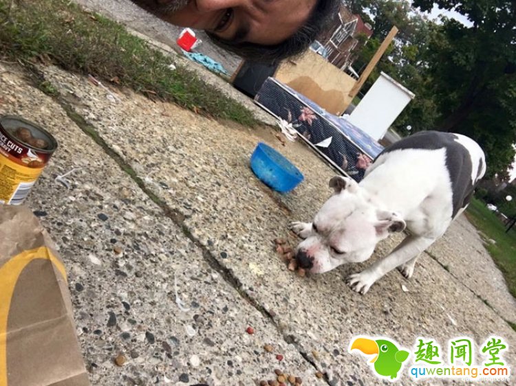 主人搬家遗弃家犬，狗狗趴在门口等了1个月...