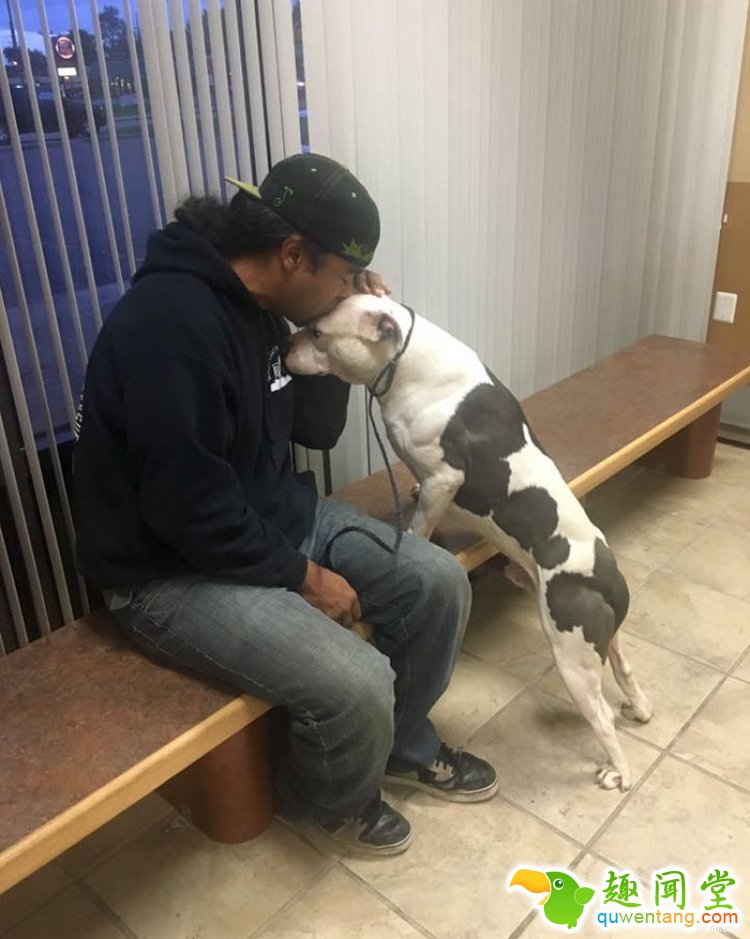 主人搬家遗弃家犬，狗狗趴在门口等了1个月...