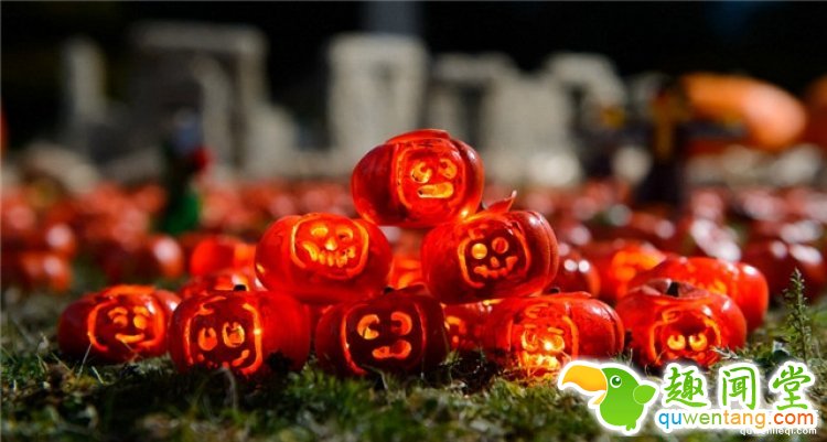 英国展出世界上最小的南瓜灯，超萌超mini