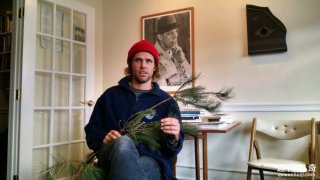 美男子打扮成一棵树阻碍交通，被捕