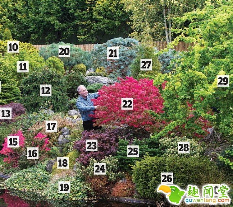 英国爸爸花费25年，打造浪漫秘密花园