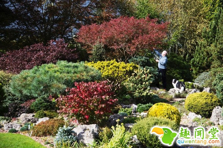 英国爸爸花费25年，打造浪漫秘密花园