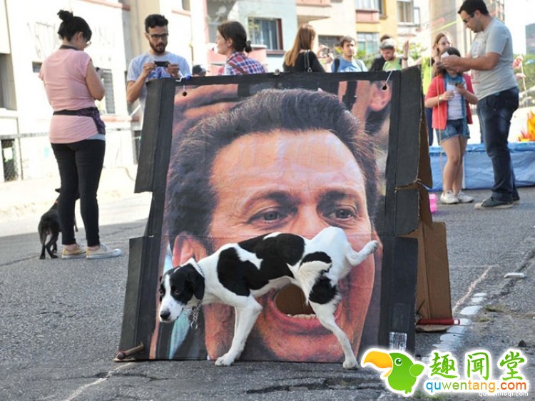 所谓的天时地利人和，说的就是这些照片