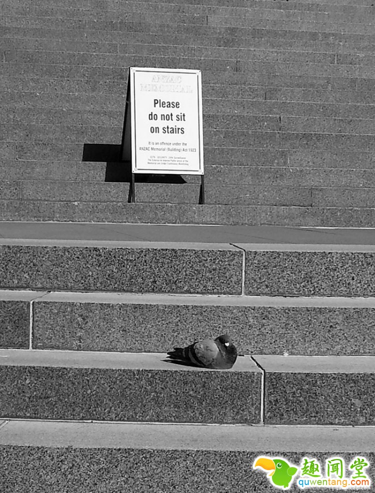 所谓的天时地利人和，说的就是这些照片