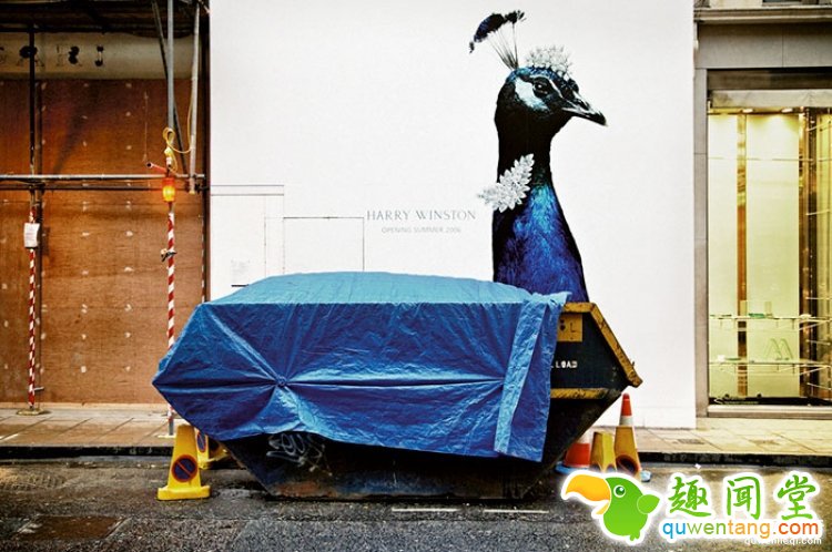 所谓的天时地利人和，说的就是这些照片