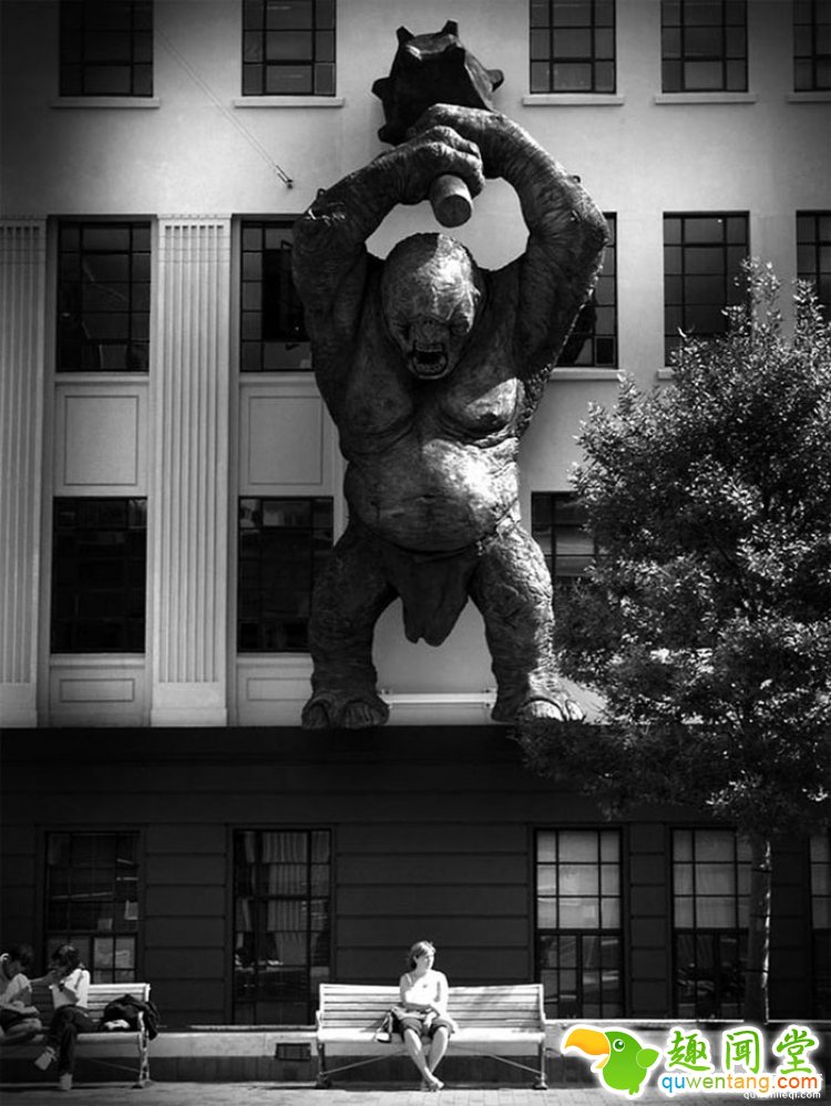 所谓的天时地利人和，说的就是这些照片