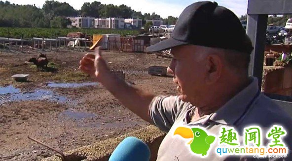 在西班牙用公?？醇乙瓤醇夜沸Ч茫?第2张图片