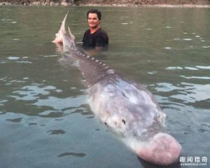 流传了40年的怪物落网！长达3米，长着粉红