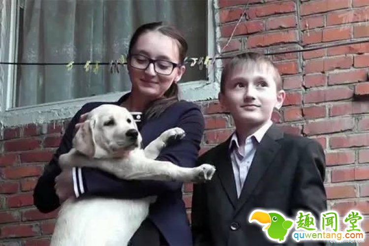 想要养只宠物狗？你只需要给普京写封信