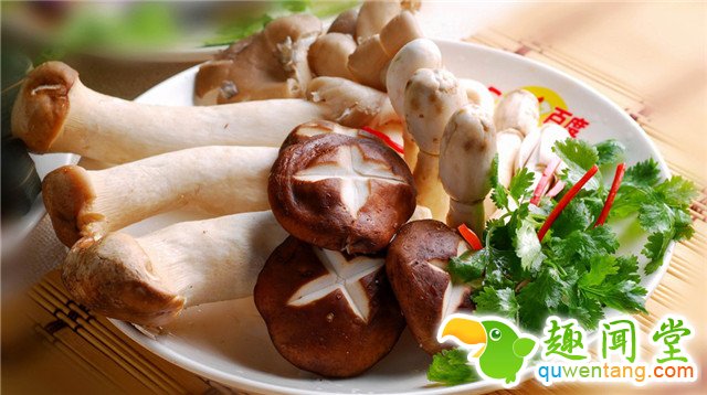 香菇 - 夏季养生,中医养生,饮食养生,运动养生