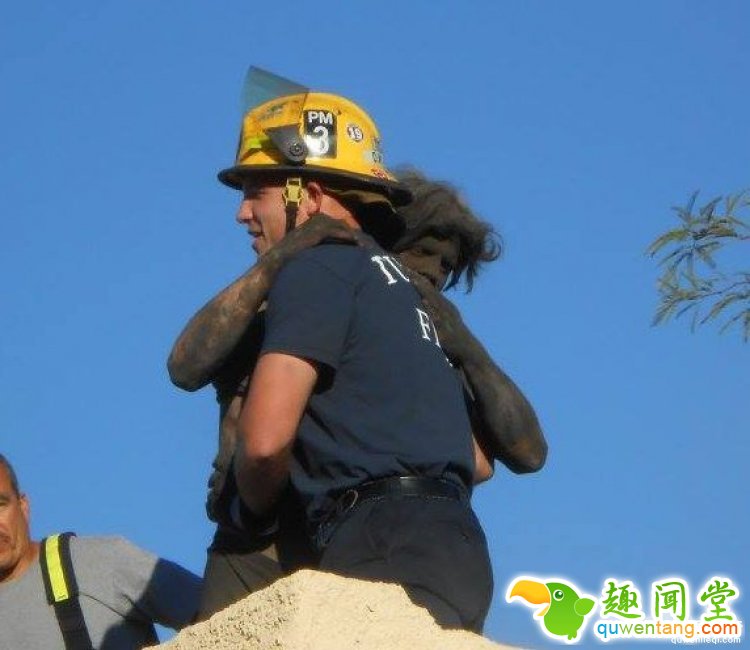 英国一哥们忘带钥匙决定从烟囱爬进去，于是悲剧了