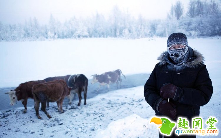 体会下西伯利亚-48℃的一天，都不敢说今年北京冷了