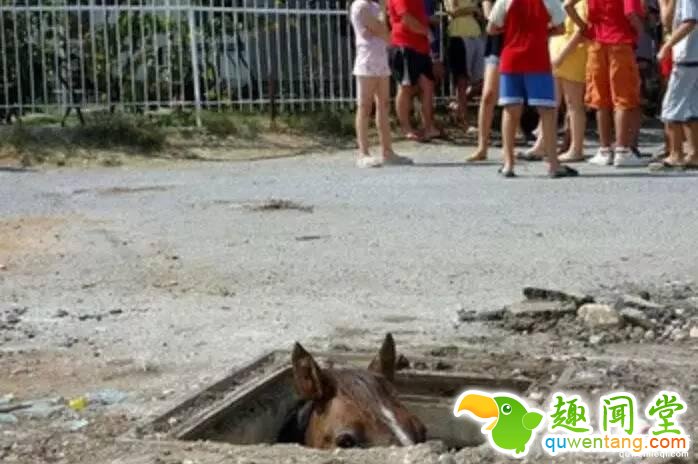 照片神吐槽，看着看着就笑了！