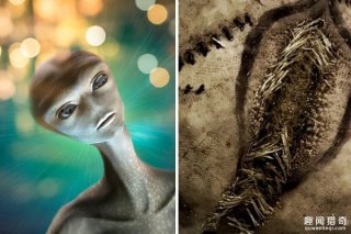 外星人入侵？英国海滩发现大量恐怖异形蛋