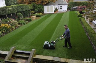 英居民种出全英国最佳草坪，称比女王的草